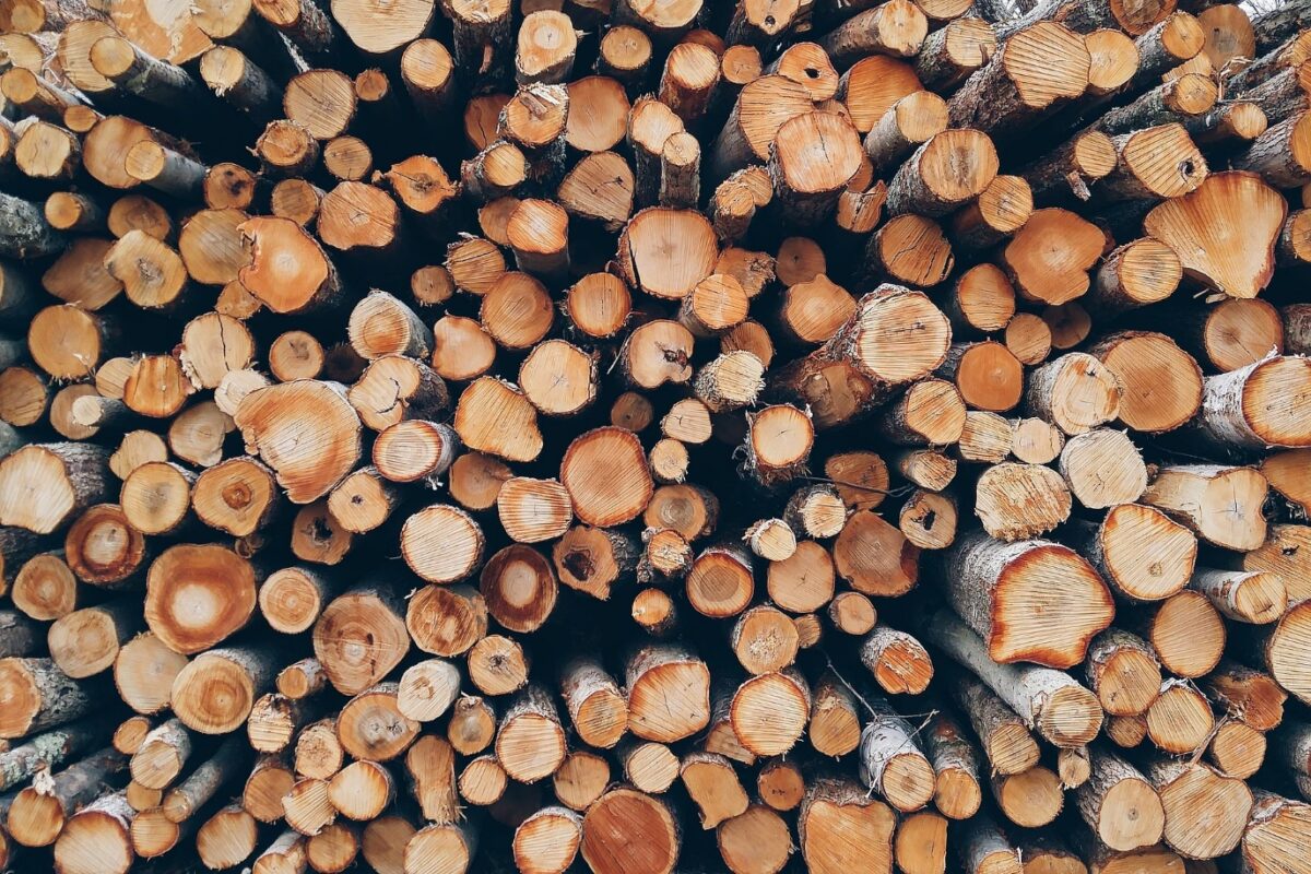 drewno do wędzenia